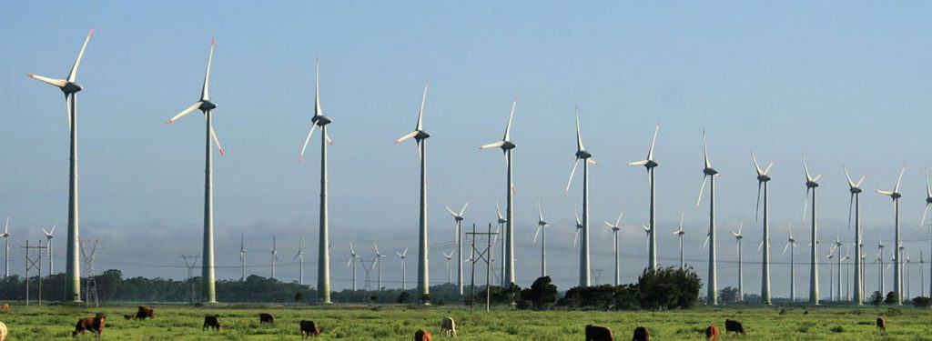 TCC sobre Energia Eólica: dicas de temas, sugestões e exemplos