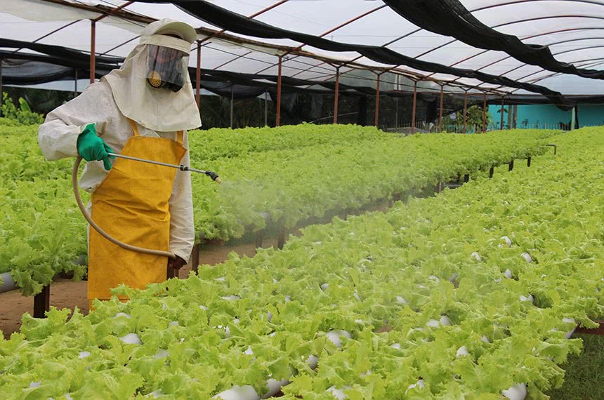 Dicas e Temas para TCC sobre Agrotóxicos