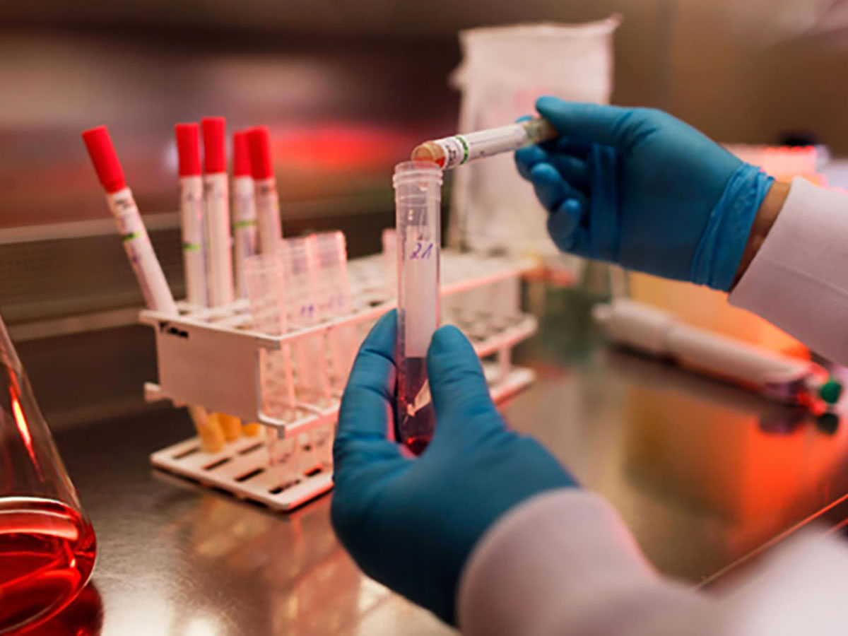 Temas para TCC sobre Hematologia